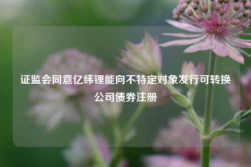 证监会同意亿纬锂能向不特定对象发行可转换公司债券注册