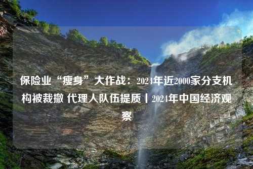 保险业“瘦身”大作战：2024年近2000家分支机构被裁撤 代理人队伍提质丨2024年中国经济观察