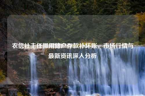 农信社主任挪用储户存款补坏账，市场行情与最新资讯深入分析