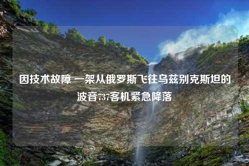 因技术故障 一架从俄罗斯飞往乌兹别克斯坦的波音737客机紧急降落