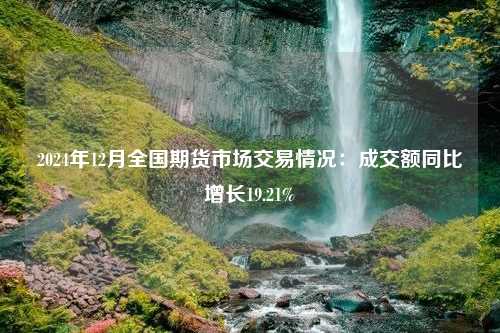 2024年12月全国期货市场交易情况：成交额同比增长19.21%