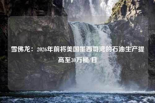 雪佛龙：2026年前将美国墨西哥湾的石油生产提高至30万桶/日